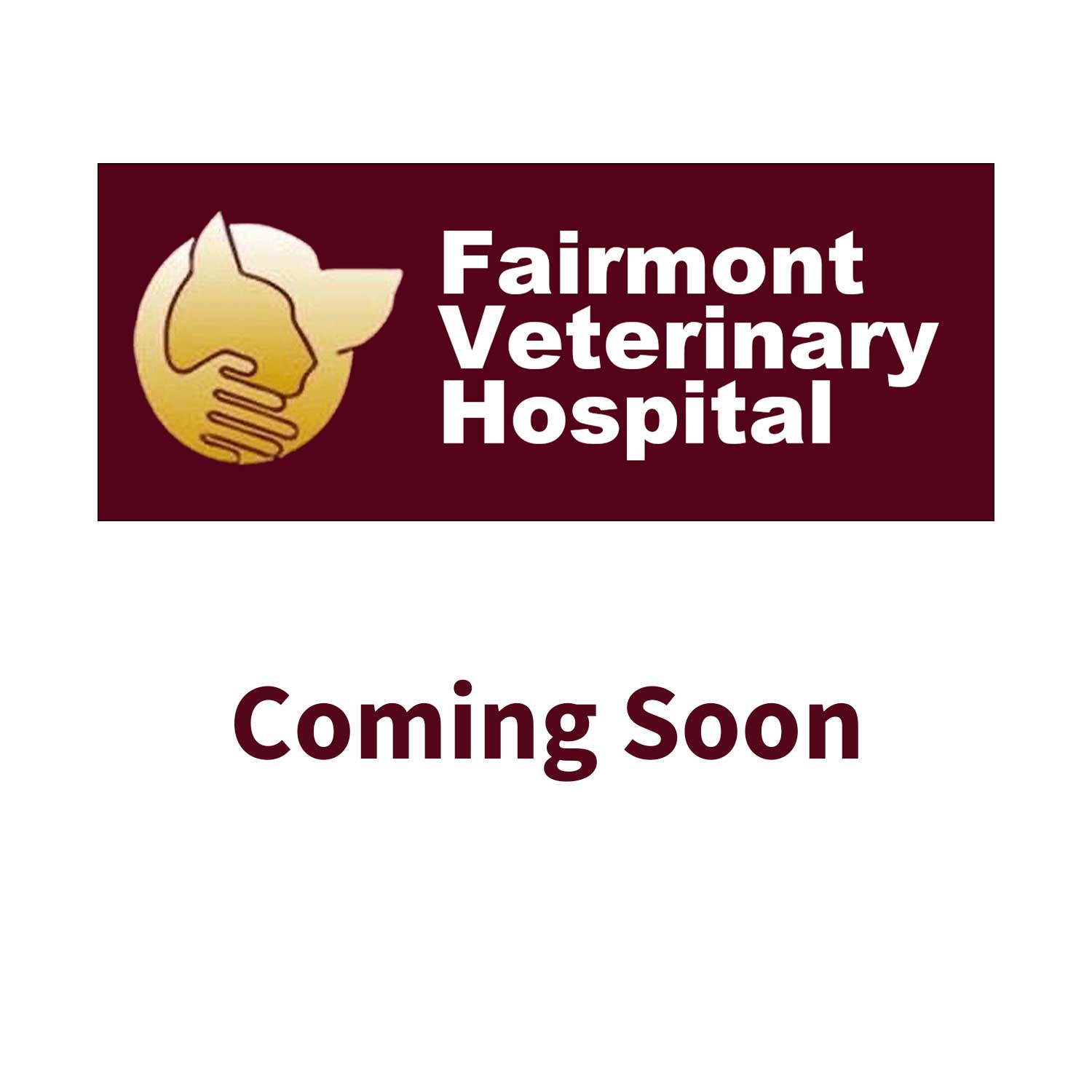 Coming-Soon Coming-Soon